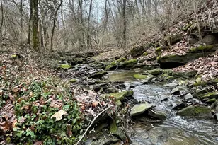 5679 Fishermans Wharf Rd, Marshall Township, OH 45133 - Photo 55