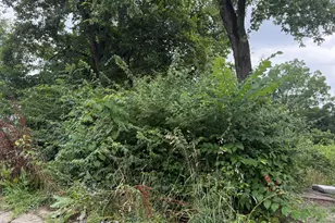 1708 State Ave, Cincinnati, OH 45204 - Photo 11