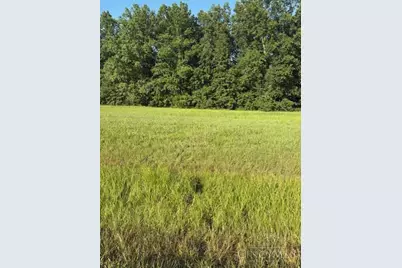 0 Custer Road, Jackson Township, OH 45171 - Photo 3