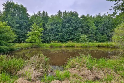 5176 Greenbush East Road, Green Twp, OH 45154 - Photo 23