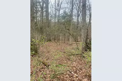 3287 Chapparal Road, West Union, OH 45693 - Photo 5