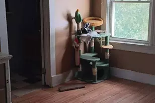 1808 Carll St, Cincinnati, OH 45225 - Photo 9