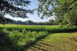 10559 Dixon Rd, Jackson Township, OH 45697 - Photo 33