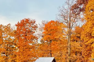 9987 Puddenbag Rd, Germantown, OH 45327 - Photo 65