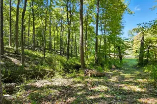 4698 Bennington Rd, Washington Twp, OH 45133 - Photo 53