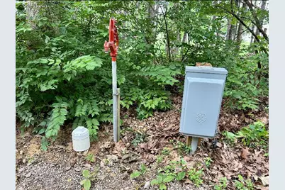 4603 Wheat Ridge Road, West Union, OH 45693 - Photo 45