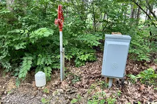 4603 Wheat Ridge Rd, West Union, OH 45693 - Photo 45