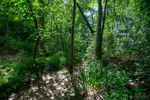 3163 Lindale-Mt Holly Rd, Monroe Township, OH 45102 - Photo 43