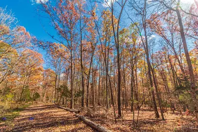 216 Kurt Street, West Union, OH 45693 - Photo 9