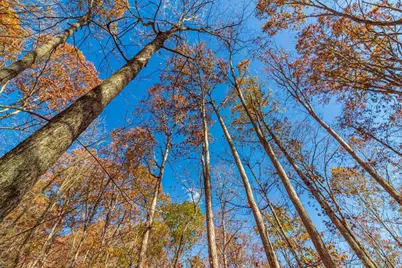 216 Kurt Street, West Union, OH 45693 - Photo 15