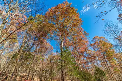 216 Kurt Street, West Union, OH 45693 - Photo 11