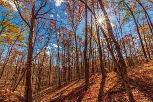 216 Kurt St, West Union, OH 45693 - Photo 1