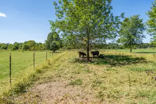 963 Pratt Rd, Vernon Township, OH 45107 - Photo 49