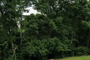 6462 Crestview Ave, Cincinnati, OH 45213 - Photo 1