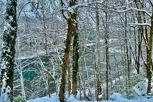 221 Miami Lakes Dr, Milford, OH 45150 - Photo 41