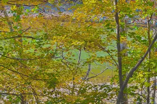 221 Miami Lakes Dr, Milford, OH 45150 - Photo 27