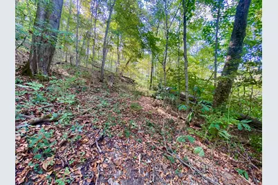 6 Eagle Creek Road, Huntington Township, OH 45167 - Photo 5