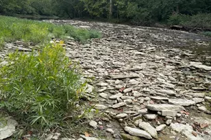 5467 Morrow-Blackhawk Rd, Salem Township, OH 45152 - Photo 81