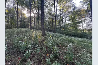 211 Belfast Pike #A, Hillsboro, OH 45133 - Photo 23