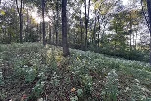 211 Belfast Pike, Hillsboro, OH 45133 - Photo 23