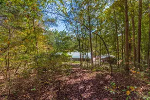 598 St Rt 348, West Union, OH 45693 - Photo 21