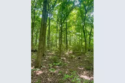 8469 McCulley Lane, Blanchester, OH 45107 - Photo 15