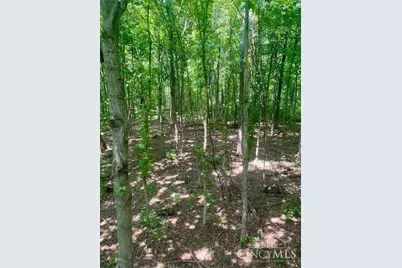 8469 McCulley Lane, Blanchester, OH 45107 - Photo 13