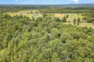 1011 Hafer Rd, West Union, OH 45693 - Photo 27