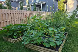 3528 Stettinius Ave, Cincinnati, OH 45208 - Photo 57