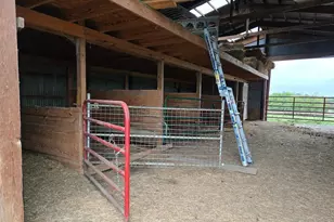 9581 St Rt 138, Paint Township, OH 45133 - Photo 7