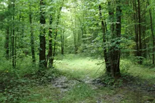 1140 Weber Rd, Miami Township, OH 45140 - Photo 23