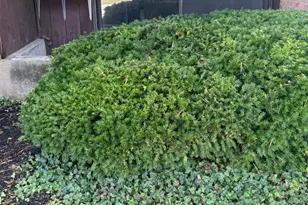 4901 Chalet Dr, Saint Bernard, OH 45217 - Photo 23