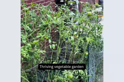 2317 Magdalena Drive, Springfield Township, OH 45231 - Photo 15