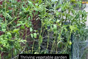 2317 Magdalena Dr, Springfield Township, OH 45231 - Photo 15