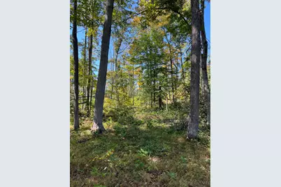 44892 Minerton Road, Wilkesville Twp, OH 45686 - Photo 39