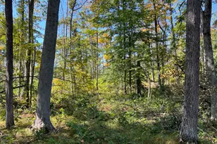 44892 Minerton Rd, Wilkesville Twp, OH 45686 - Photo 39