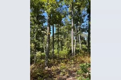 44892 Minerton Road, Wilkesville Twp, OH 45686 - Photo 79