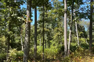 44892 Minerton Rd, Wilkesville Twp, OH 45686 - Photo 79