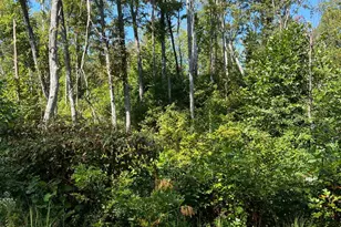 44892 Minerton Rd, Wilkesville Twp, OH 45686 - Photo 83