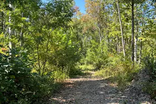 44892 Minerton Rd, Wilkesville Twp, OH 45686 - Photo 51