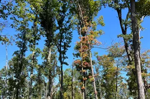 44892 Minerton Rd, Wilkesville Twp, OH 45686 - Photo 55