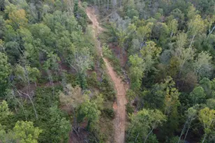 44892 Minerton Rd, Wilkesville Twp, OH 45686 - Photo 11