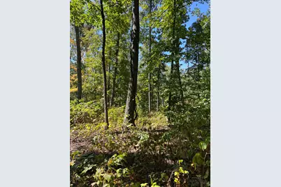 44892 Minerton Road, Wilkesville Twp, OH 45686 - Photo 71