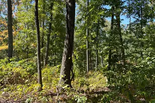 44892 Minerton Rd, Wilkesville Twp, OH 45686 - Photo 71