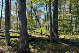 44892 Minerton Rd, Wilkesville Twp, OH 45686 - Photo 45