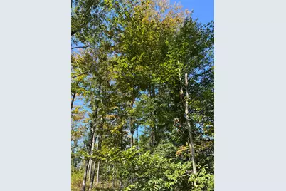 44892 Minerton Road, Wilkesville Twp, OH 45686 - Photo 57