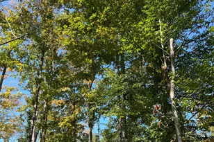 44892 Minerton Rd, Wilkesville Twp, OH 45686 - Photo 57