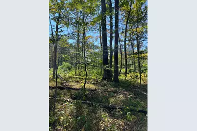 44892 Minerton Road, Wilkesville Twp, OH 45686 - Photo 41