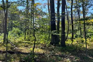 44892 Minerton Rd, Wilkesville Twp, OH 45686 - Photo 41