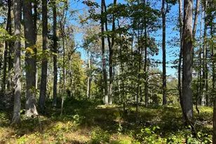 44892 Minerton Rd, Wilkesville Twp, OH 45686 - Photo 37